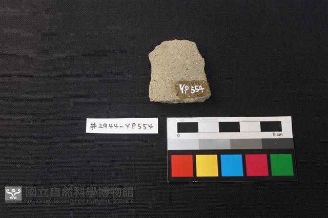 陶片藏品圖，第2張