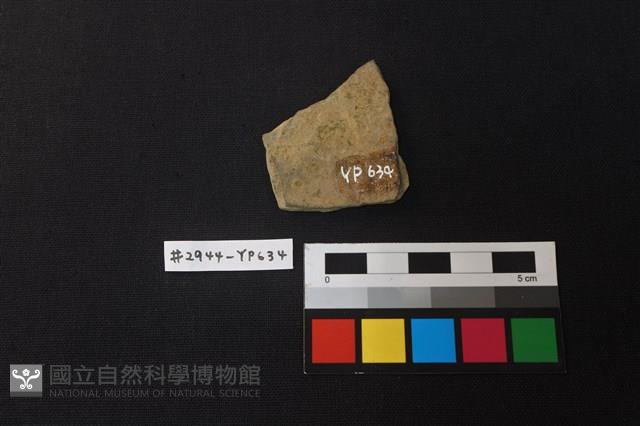 陶片藏品圖，第2張