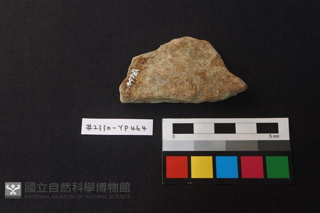 陶片藏品圖，第2張