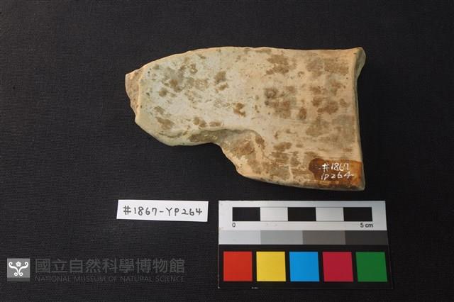 陶片藏品圖，第2張
