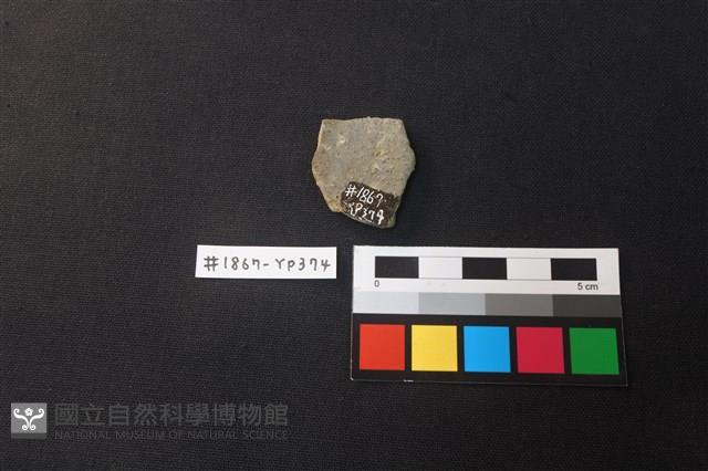 陶片藏品圖，第2張