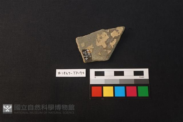 陶片藏品圖，第2張