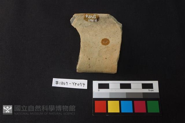 陶片藏品圖，第2張