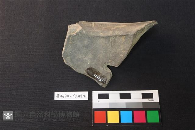 陶片藏品圖，第2張