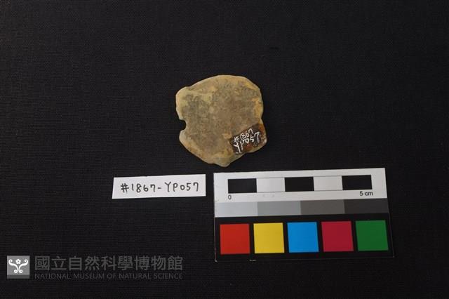 陶片藏品圖，第2張