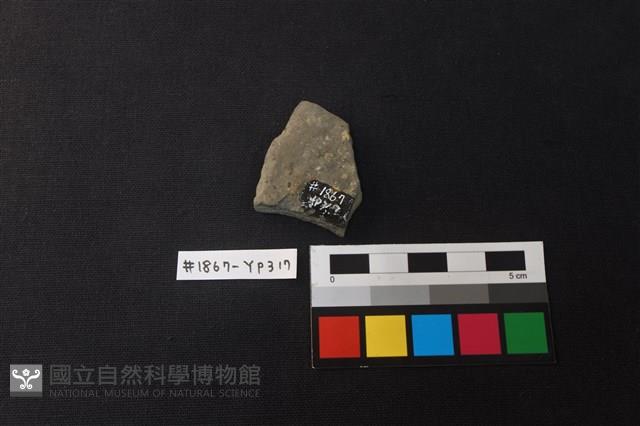 陶片藏品圖，第2張