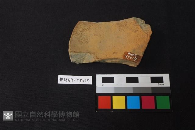 陶片藏品圖，第2張
