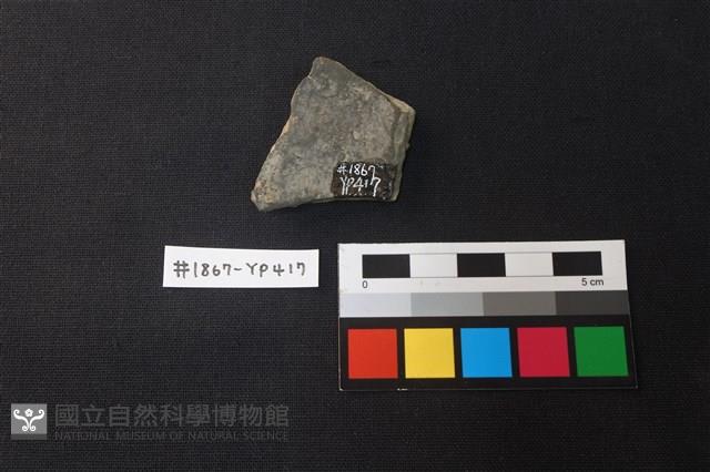 陶片藏品圖，第2張