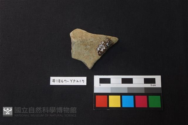 陶片藏品圖，第2張