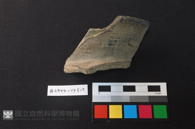 陶片藏品圖，第2張