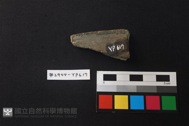 陶片藏品圖，第2張