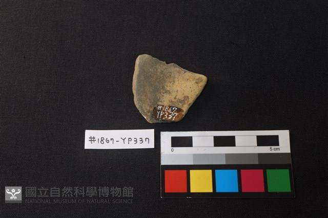 陶片藏品圖，第2張