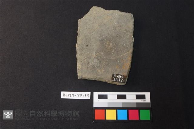 陶片藏品圖，第2張