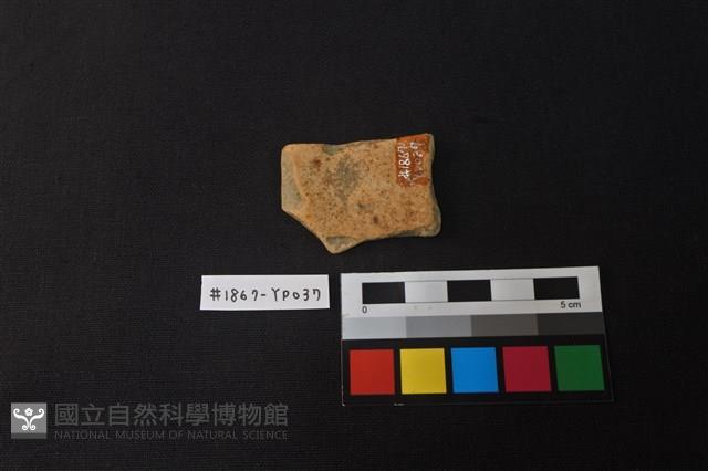 陶片藏品圖，第2張