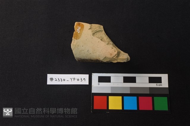 陶片藏品圖，第2張
