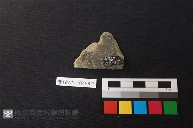 陶片藏品圖，第2張