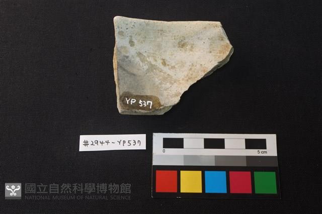 陶片藏品圖，第2張