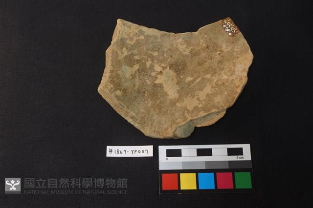 陶片藏品圖，第2張