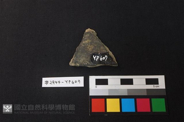 陶片藏品圖，第2張