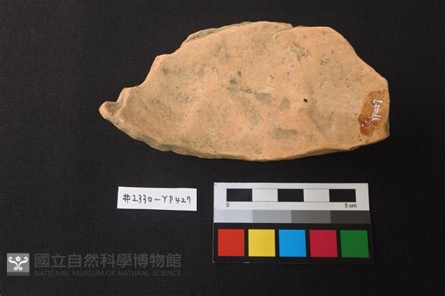 陶片藏品圖，第2張