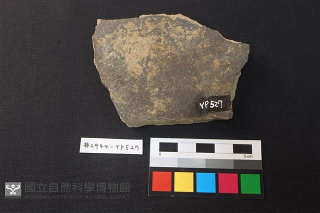 陶片藏品圖，第2張