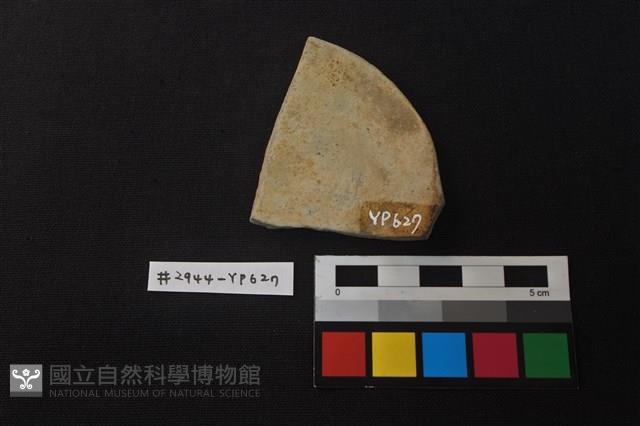 陶片藏品圖，第2張