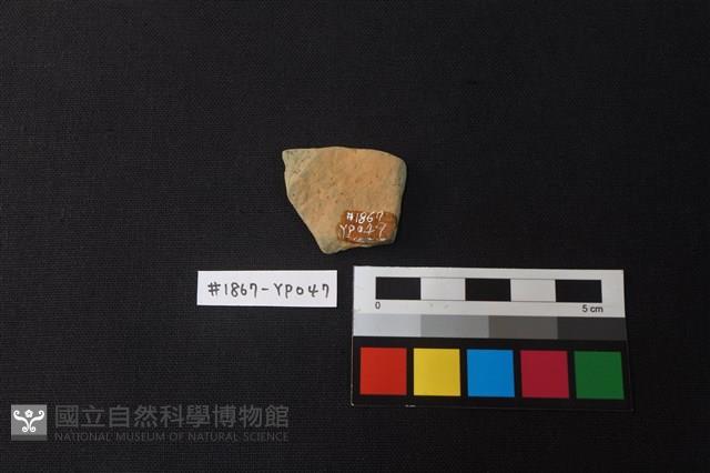陶片藏品圖，第2張