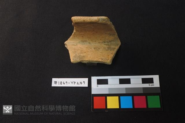 陶片藏品圖，第2張