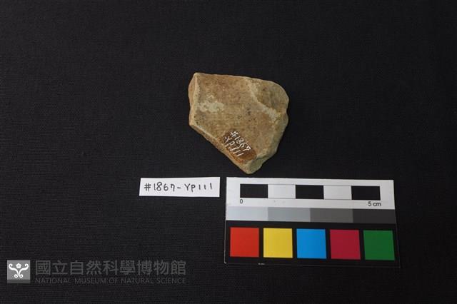 陶片藏品圖，第2張