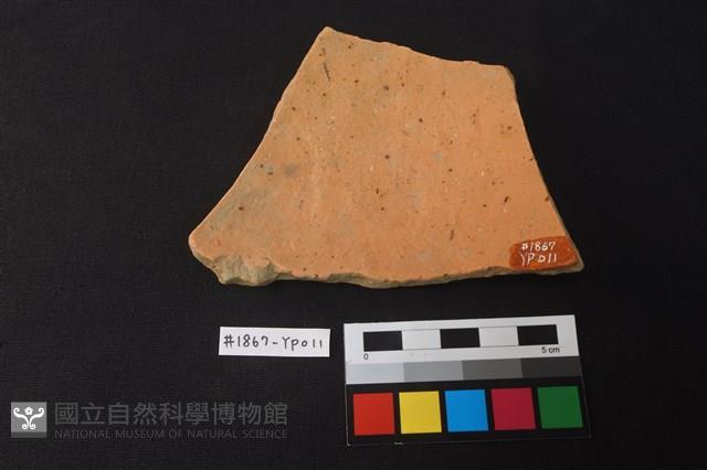 陶片藏品圖，第2張