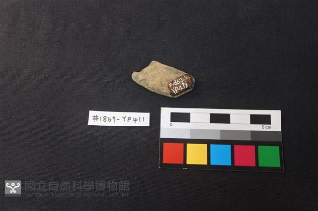 陶片藏品圖，第2張