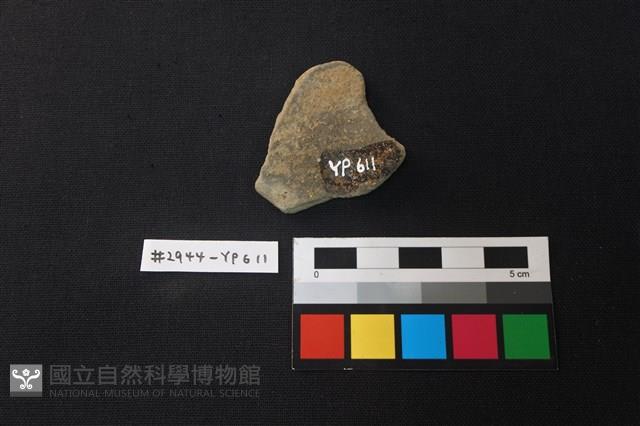 陶片藏品圖，第2張