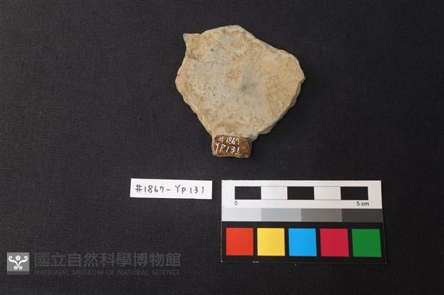 陶片藏品圖，第2張