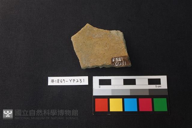 陶片藏品圖，第2張