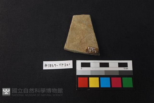 陶片藏品圖，第2張