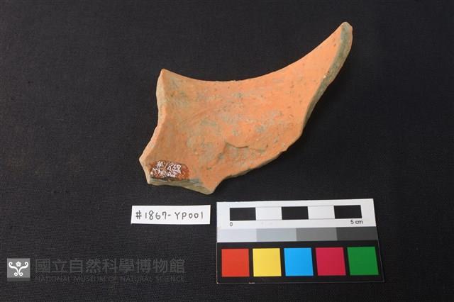 陶片藏品圖，第2張