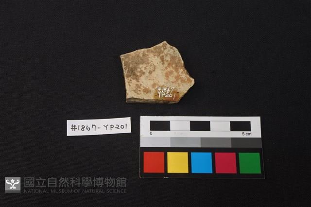 陶片藏品圖，第2張