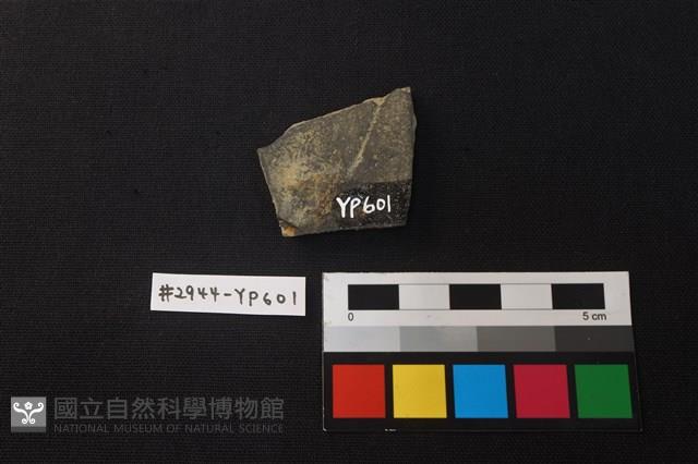 陶片藏品圖，第2張