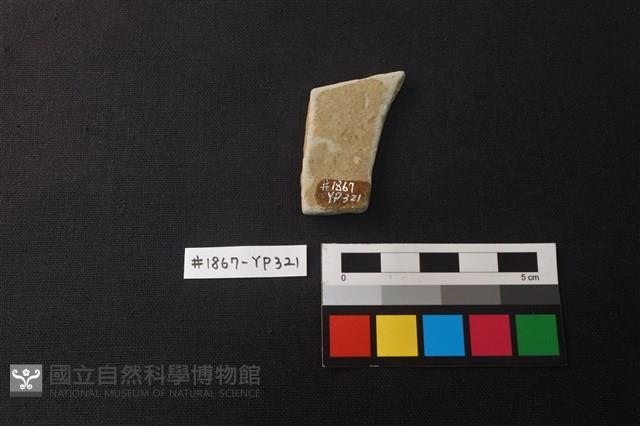 陶片藏品圖，第2張