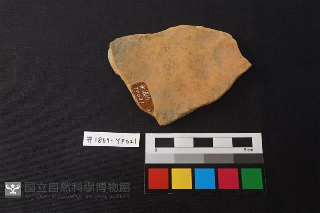 陶片藏品圖，第2張