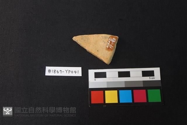 陶片藏品圖，第2張