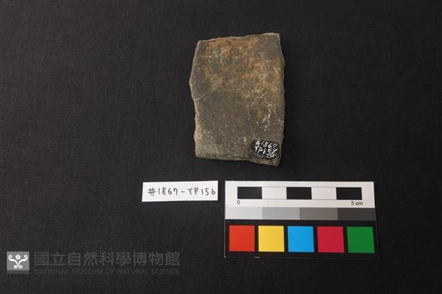 陶片藏品圖，第2張