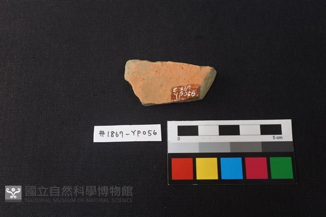 陶片藏品圖，第2張