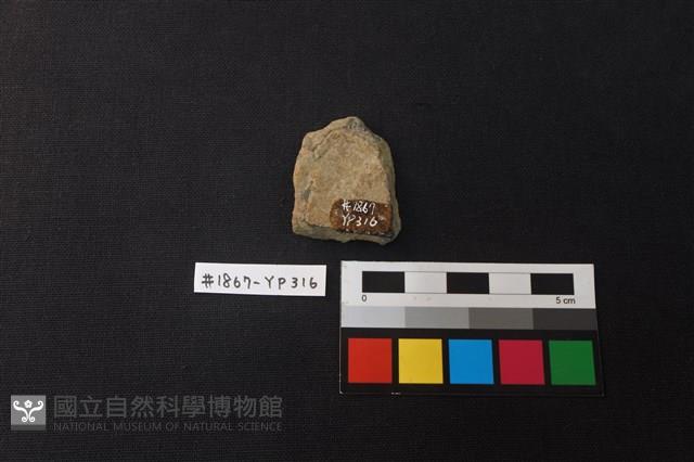 陶片藏品圖，第2張