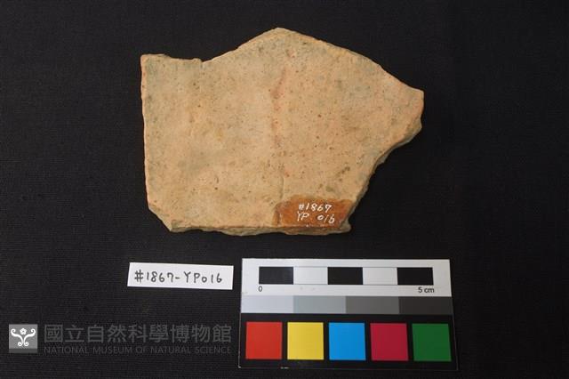 陶片藏品圖，第2張