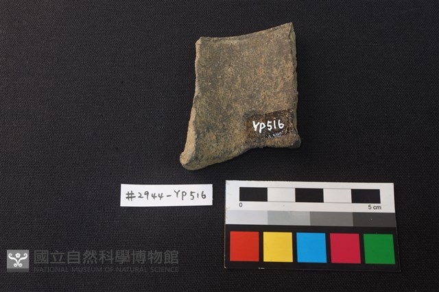 陶片藏品圖，第2張