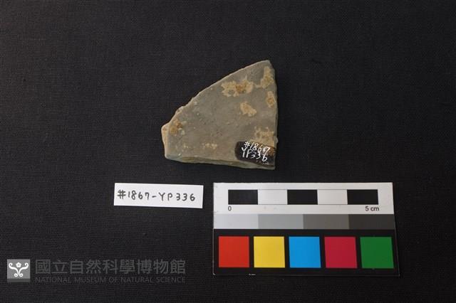 陶片藏品圖，第2張