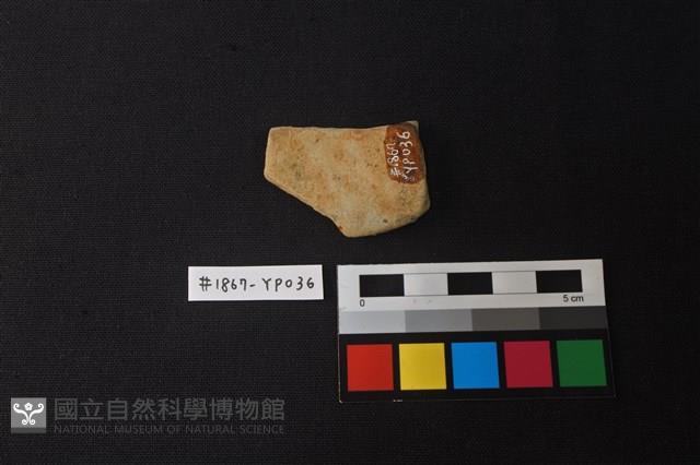 陶片藏品圖，第2張