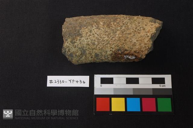 陶片藏品圖，第2張