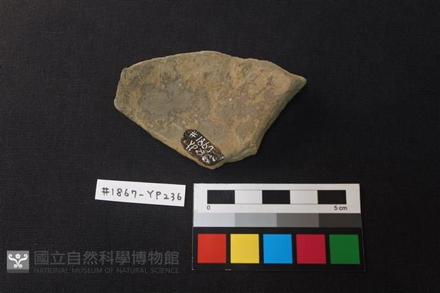 陶片藏品圖，第2張